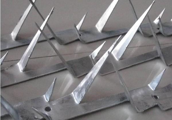 供應(yīng)防盜刺防爬鋼鍍鋅刺釘