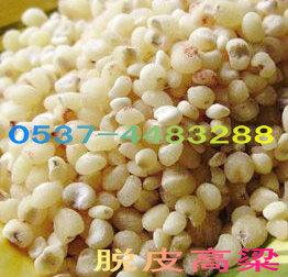 供應(yīng)蠶豆脫皮機，牡丹種脫殼機，砂輪脫皮機