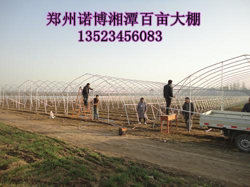 供应专业的温室大棚建造公司 漯河钢管大棚骨架 蔬菜食用菌棚图片