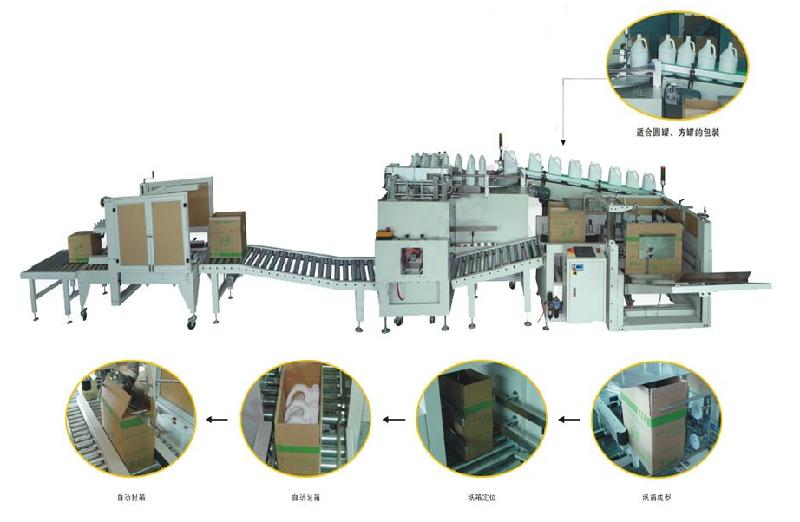 全自动瓶装包装线图片