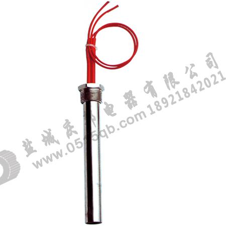 單頭電熱管圖片/單頭電熱管樣板圖 (2)