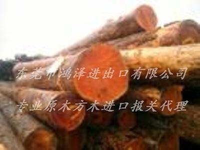 东莞进口报关 大果紫檀进口报关 东莞红木进口报关代理公司