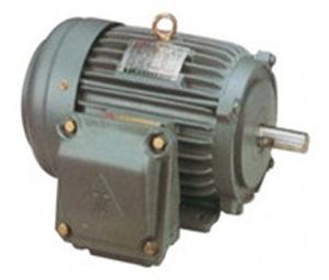 供應(yīng)東元防爆馬達(dá)