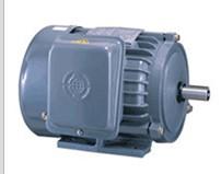 供應(yīng)三相變頻馬達(dá)先馬