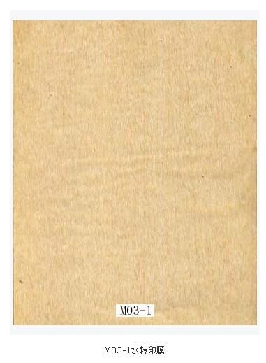 水轉(zhuǎn)印膜紙圖案1圖片
