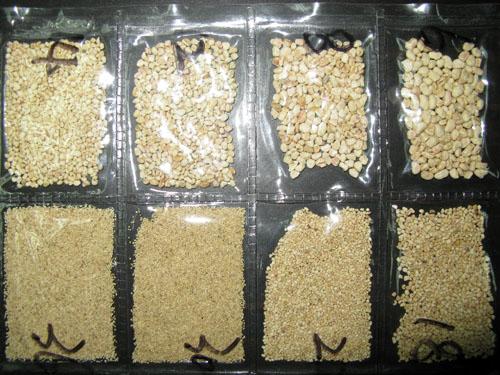 廣東拋光丸研磨材料圖片