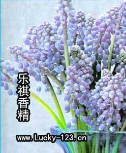 神香香精圖片