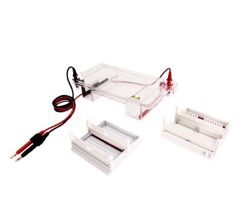 供應(yīng)YLN-SPCT水平電泳槽