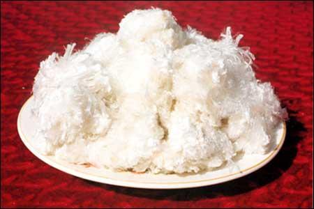 供應(yīng)哪里的纖維球價格便宜