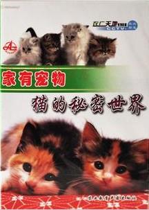 供应纯种猫的特殊护理走近纯种猫家有宠物-猫的秘密世界图片