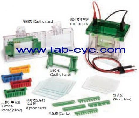 短玻板可与美国伯乐垂直电泳槽配套图片