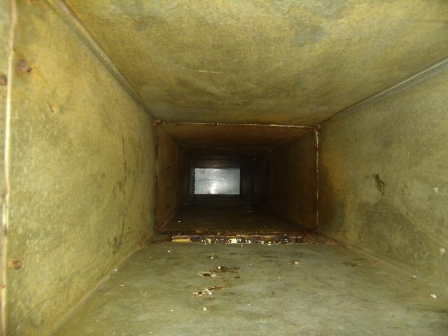 供應(yīng)沈陽鐵西區(qū)食堂油煙機清洗公司