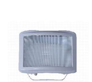 高效投光燈圖片/高效投光燈樣板圖 (4)