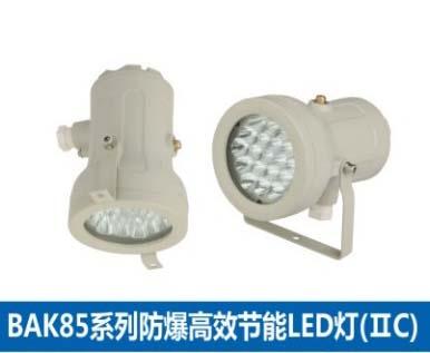 供應BAK85系列防爆*節(jié)能LED燈