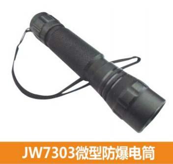 JW7303微型防爆電筒1圖片