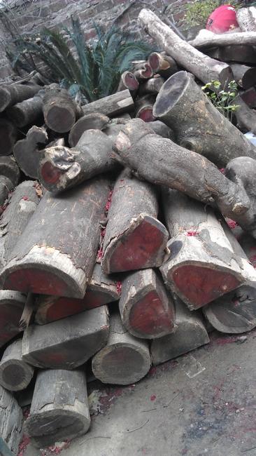 供應(yīng)廣西紫檀，廣西小葉紫檀，廣西小葉紫檀價(jià)格，廣西小葉紫檀廠家