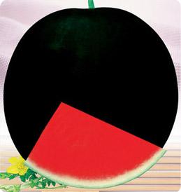 供應(yīng)有籽和無(wú)籽西瓜