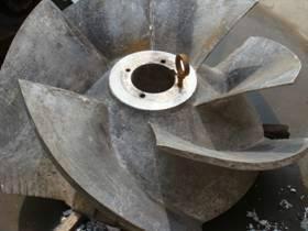 火炬頭價格行情圖片