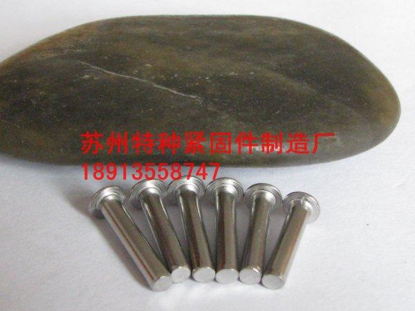 供應(yīng)不銹鋼鉚釘半空心不銹鋼鉚釘