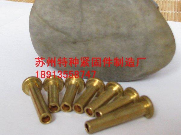 供應黃銅半空心鉚釘 黃銅實心鉚釘 黃銅空心鉚釘 黃銅鉚釘黃銅半空