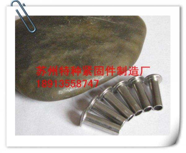不銹鋼臺(tái)階鉚釘圖片/不銹鋼臺(tái)階鉚釘樣板圖 (4)