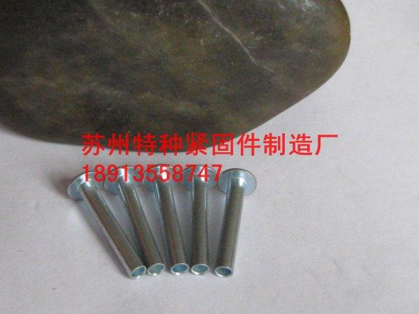 供應(yīng)鐵鉚釘實(shí)心鐵鉚釘半空心鐵鉚釘