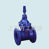 供應(yīng)上海方工RVCX埋地式閘閥