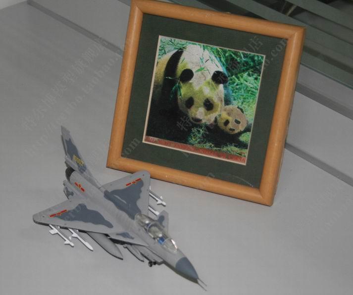 供應(yīng)172殲十戰(zhàn)斗機模型批發(fā) 四川成都哪有172殲十模型批發(fā)的？