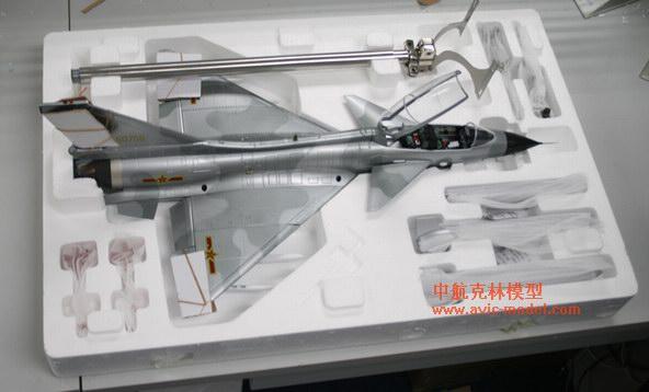 殲十模型圖片/殲十模型樣板圖 (2)
