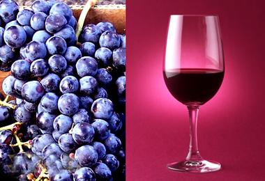 供應(yīng)運(yùn)到基希納烏/中國(guó)到摩爾多瓦運(yùn)輸