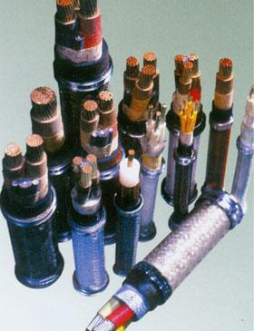 供應(yīng)中石化入圍產(chǎn)品KVV22/VV22/NHKVV22/NHKVV