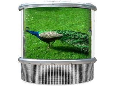 戶外廣告弧形防水LED顯示屏圖片