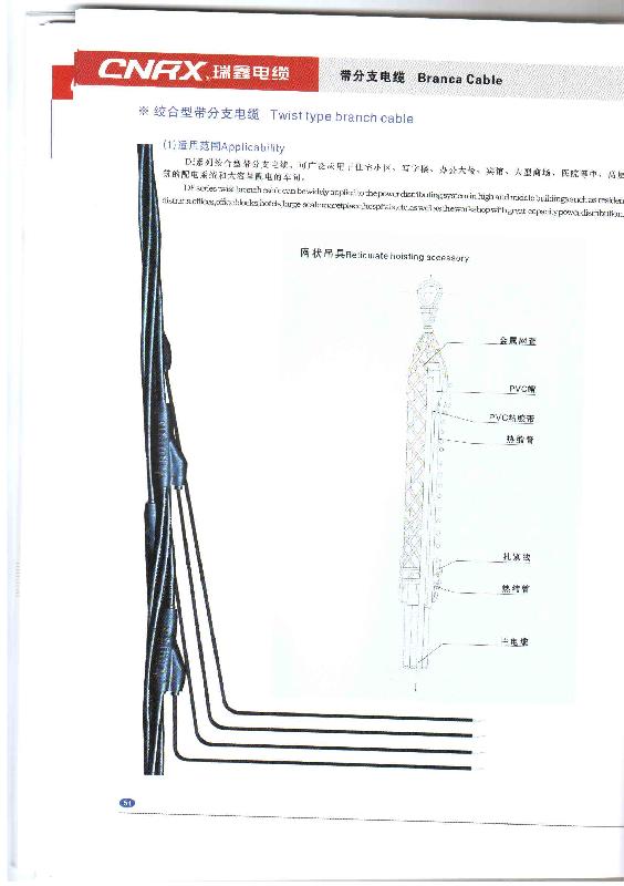 絞合型帶分支電纜圖片