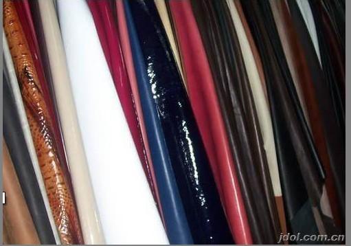 佛山至香港往返專(zhuān)線(xiàn)圖片