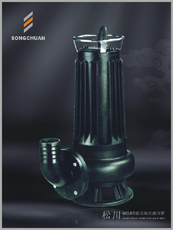 松川AS潛水排污泵圖片