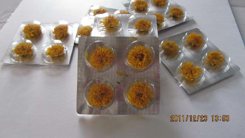 供應(yīng)菊花茶泡罩包裝機(jī)DPT190型專業(yè)生產(chǎn)