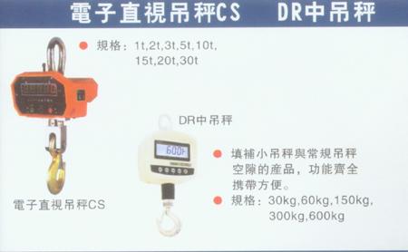 供應(yīng)晉江5噸無(wú)線電子吊秤