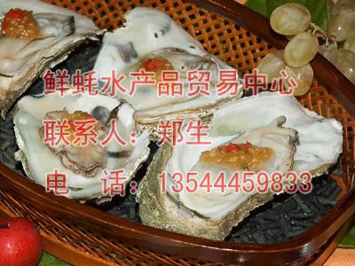 陽江生蠔圖片/陽江生蠔樣板圖 (2)