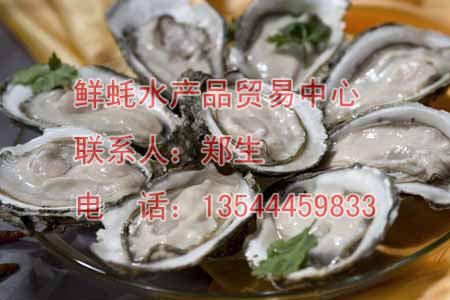 供應(yīng)肉肥鮮美的蠔