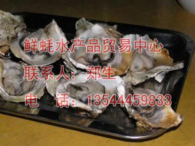 供應(yīng)生蠔美食節(jié)