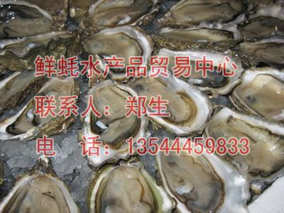 供應(yīng)鎮(zhèn)江靚生蠔