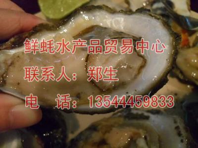 生蠔美食節(jié)圖片