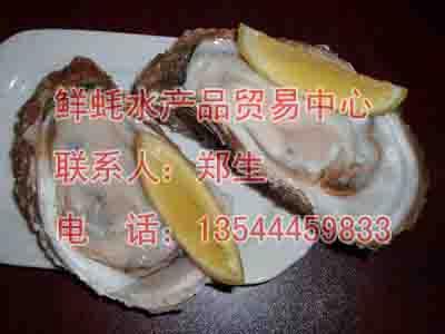 供應(yīng)東莞生蠔供應(yīng)