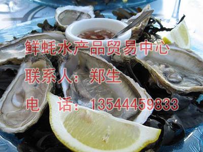 供應(yīng)剛剛撈起的生蠔