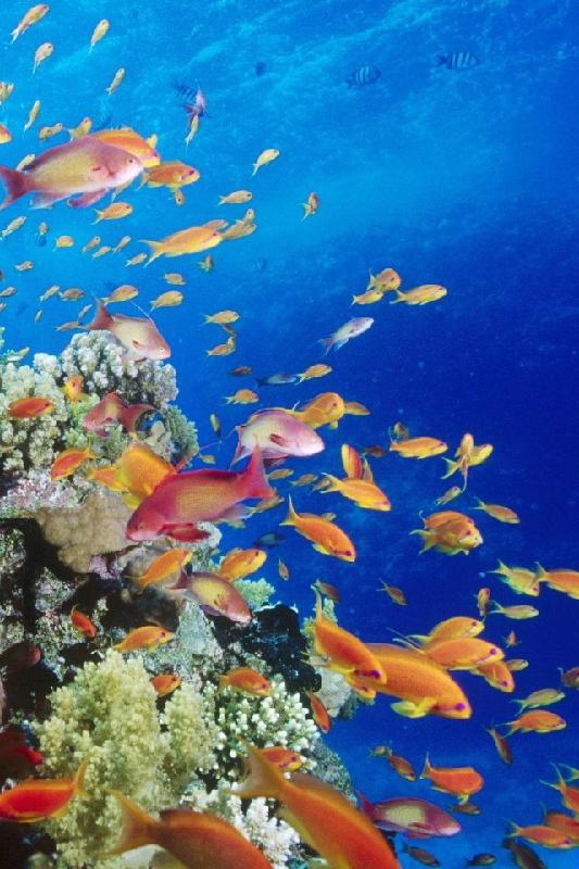 豐潤燃氣熱水器水箱沙眼凍壞漏水焊接? 323  2658