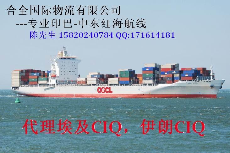 廣東出口印度海運(yùn)專線服務(wù) 印度孟買新德里出口專線