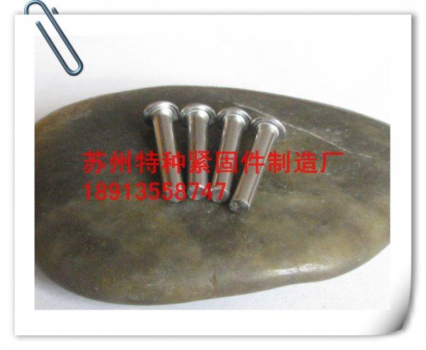 長春吉林哈爾濱不銹剛鉚釘圖片