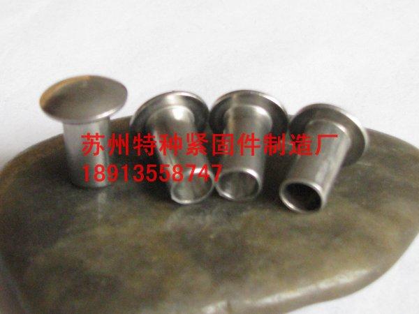 平頭半空心鉚釘圖片/平頭半空心鉚釘樣板圖 (2)