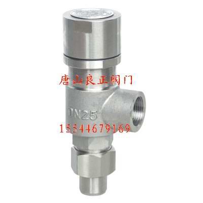 供應A21H/W彈簧微啟式安全閥