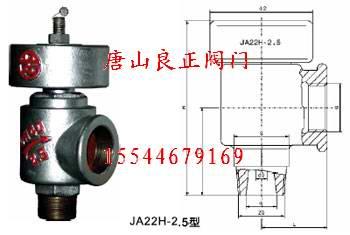 供應(yīng)靜重式安全閥